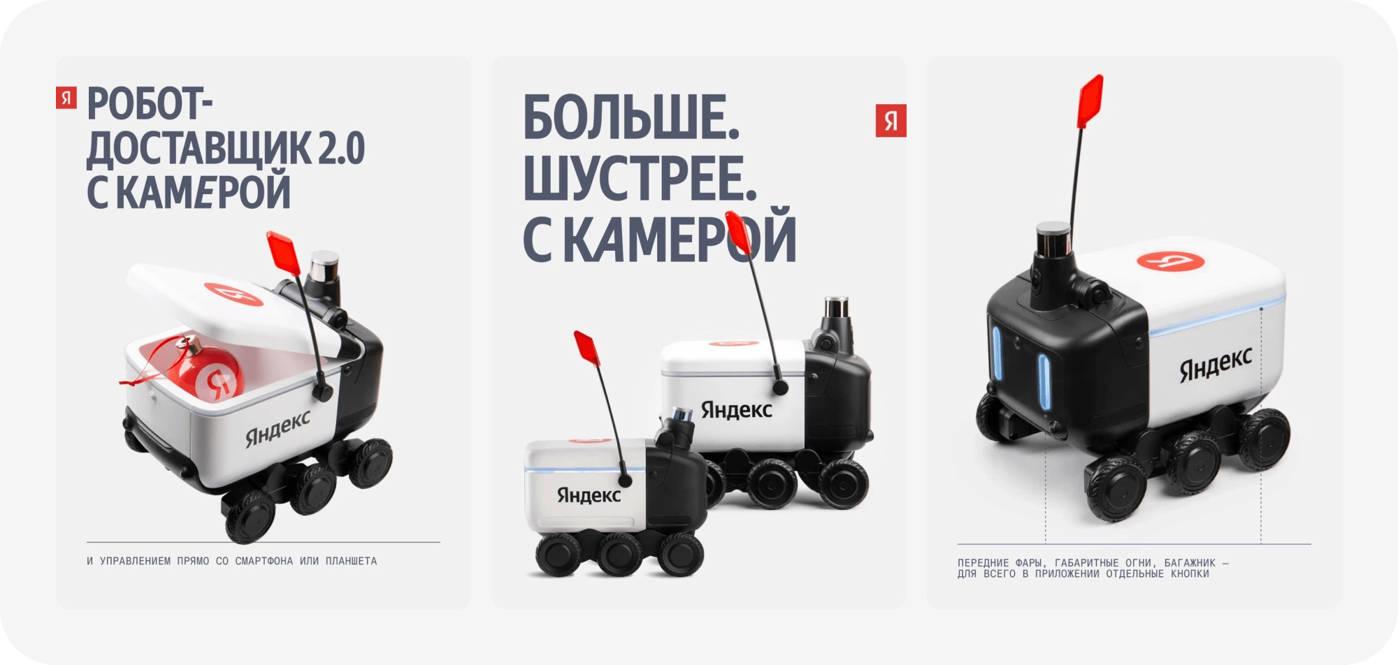 О проекте